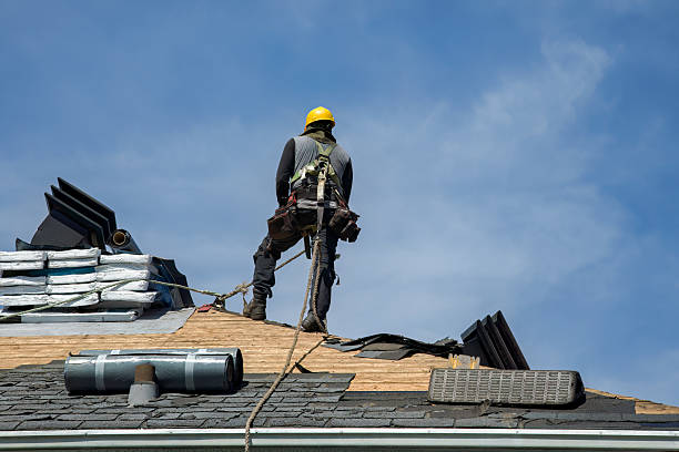 Professional Roofing technician working in Dania, FL
